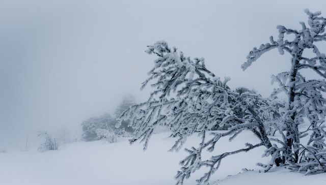 Este es un nuevo invierno