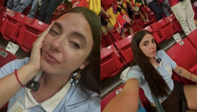 Sin garra