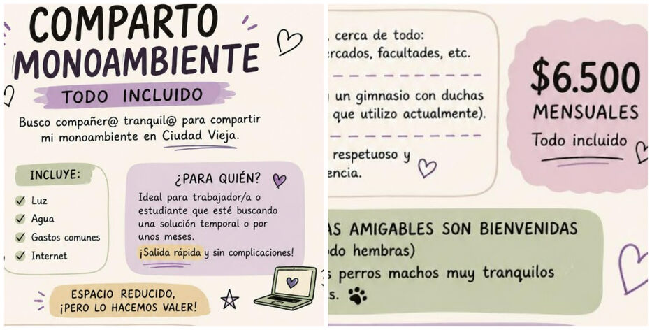 Compartido, con perros y sin ducha: oferta de monoambiente generó controversia