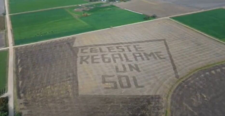 “Celeste, regalame un sol”: el mensaje de apoyo a Uruguay desde un campo de Nueva Helvecia