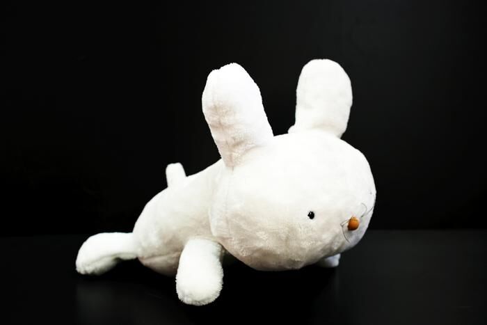 Mia es un conejo robótico que reconoce voces