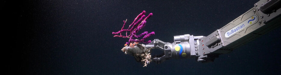 Foto: Uruguay Sub200 / Schmidt Ocean Institute.