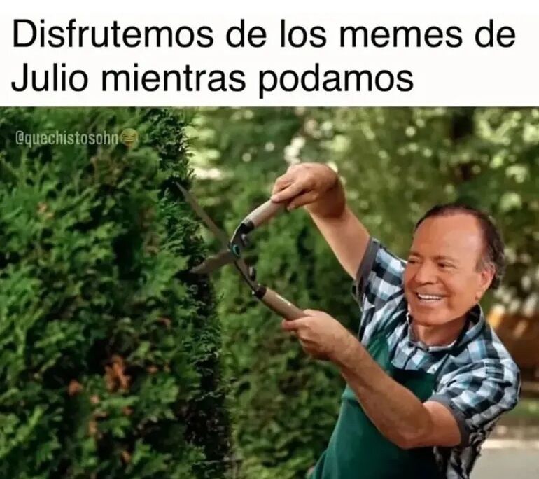 Meme de Julio