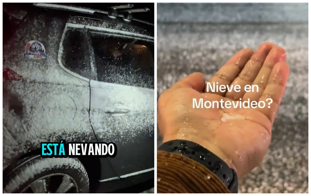 “Ninguna nevada”: la “masterclass” de Ramis para distinguir nieve de otras precipitaciones