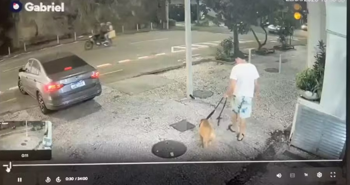 Salió con él y volvió solo: hombre acusado de ahogar a su perro por un vil motivo