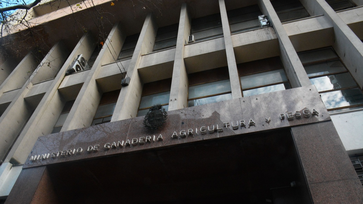 MGAP abrió llamado laboral con sueldo de casi $ 57.000 más IVA: requisitos y cómo anotarse