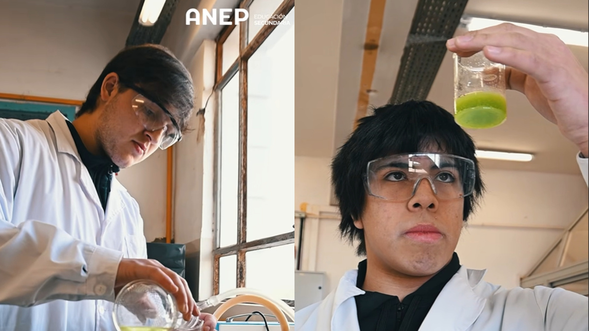 De Uruguay al mundo: cuatro liceales viajan a Uzbekistán por la Olimpíada de Química