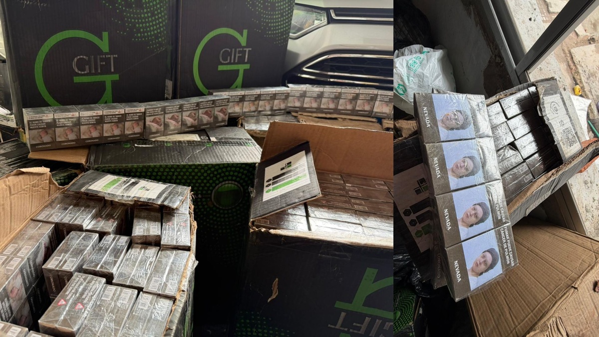 Cigarrillos falsos: Aduanas incautó más de 213.000 cajas y advirtió sus riesgos a la salud