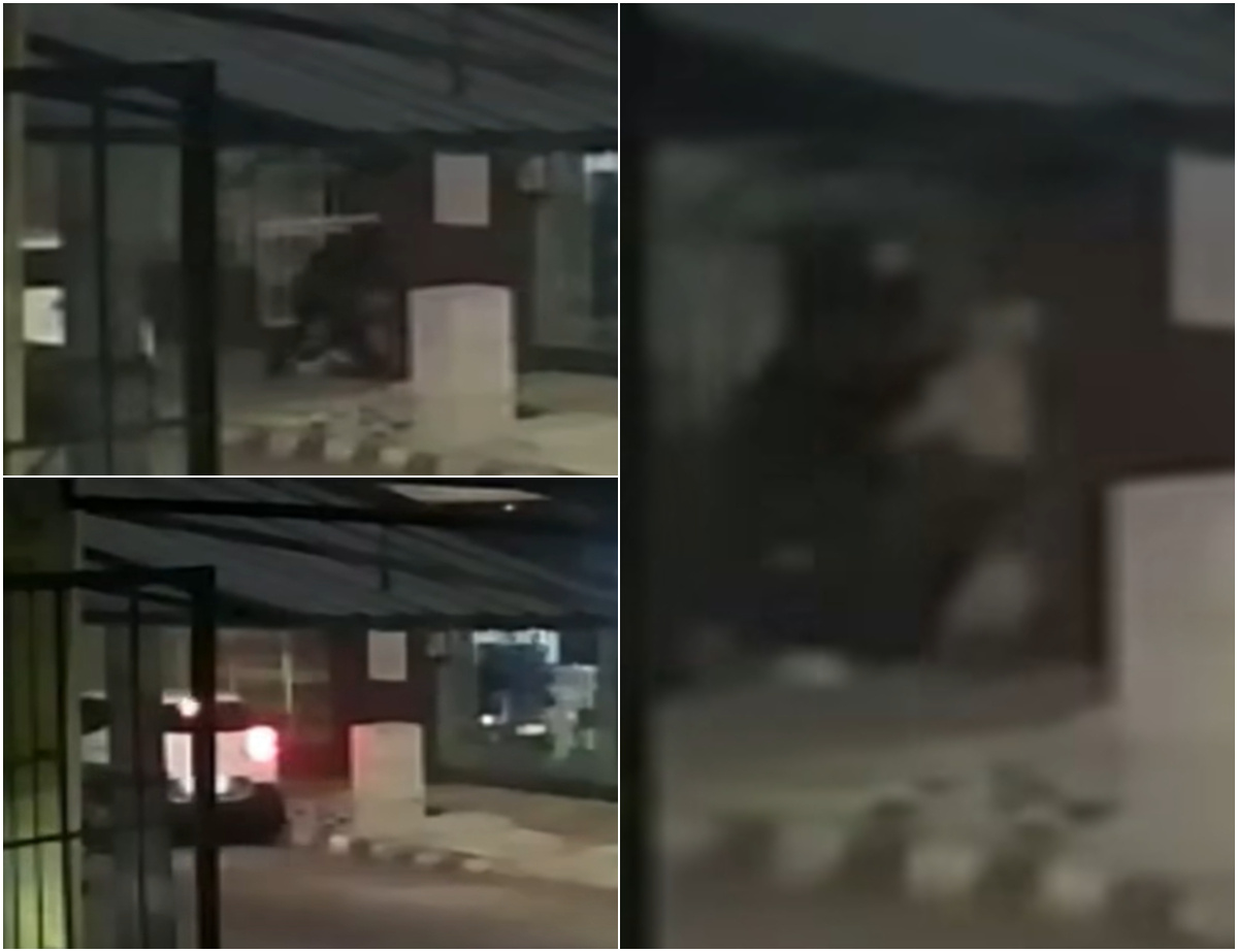 Pareja fue golpeada, le tiraron gas en la cara y los robaron en Tacuarembó; quedó filmado
