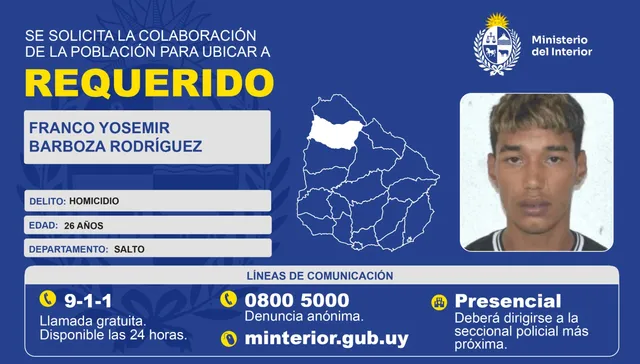 Qué ficha