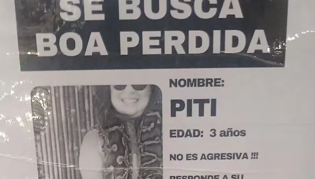 De no creer