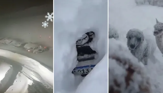 Bajo cero y bajo nieve