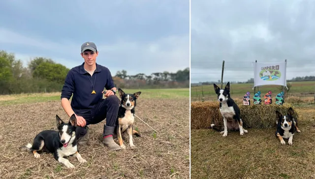 Idioma canino