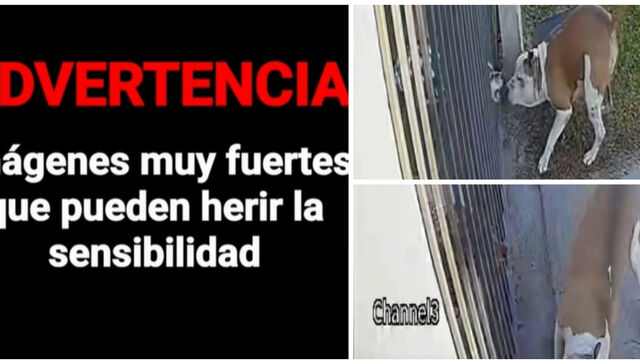 Terrible