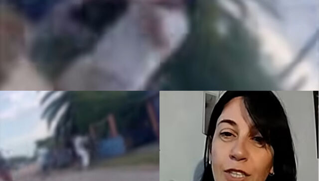 Su versión