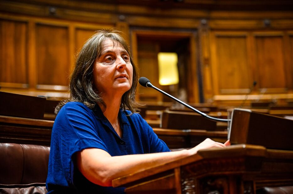“Tarea muy importante”: diputada del FA por acordar con oposición en Rendición de Cuentas