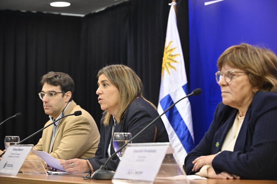 Gobierno exonerará de IVA a materiales para cooperativas de vivienda desde 2027