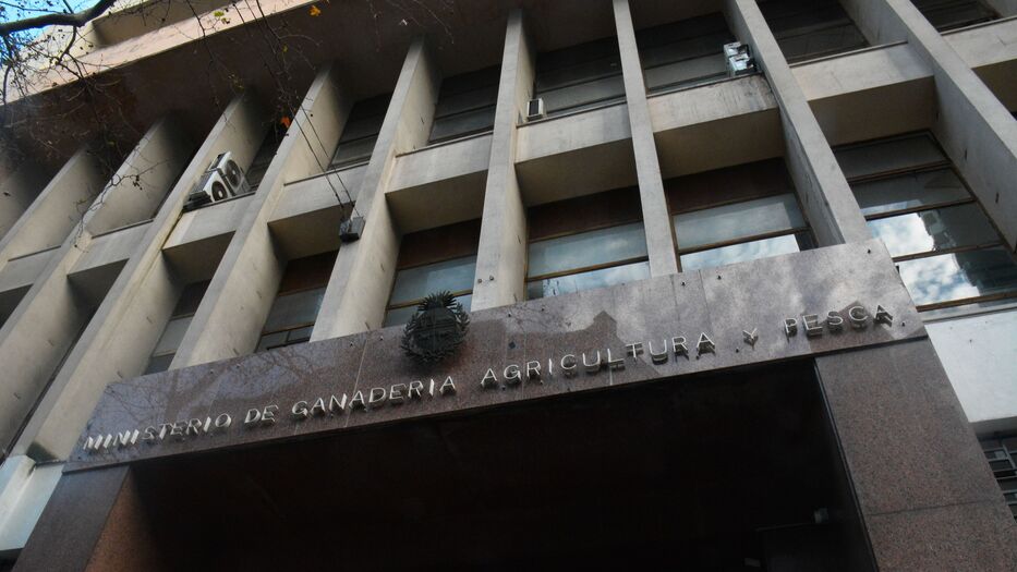 MGAP abrió llamado laboral con sueldo de casi $ 57.000 más IVA: requisitos y cómo anotarse