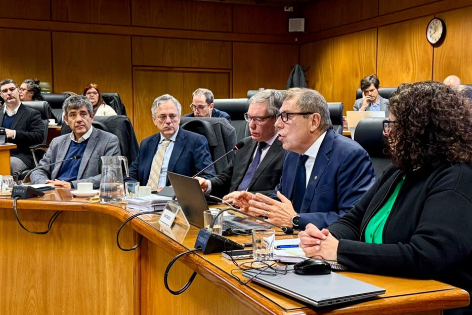 MEF defendió en Diputados una Rendición de Cuentas “responsable” y con foco en infancia