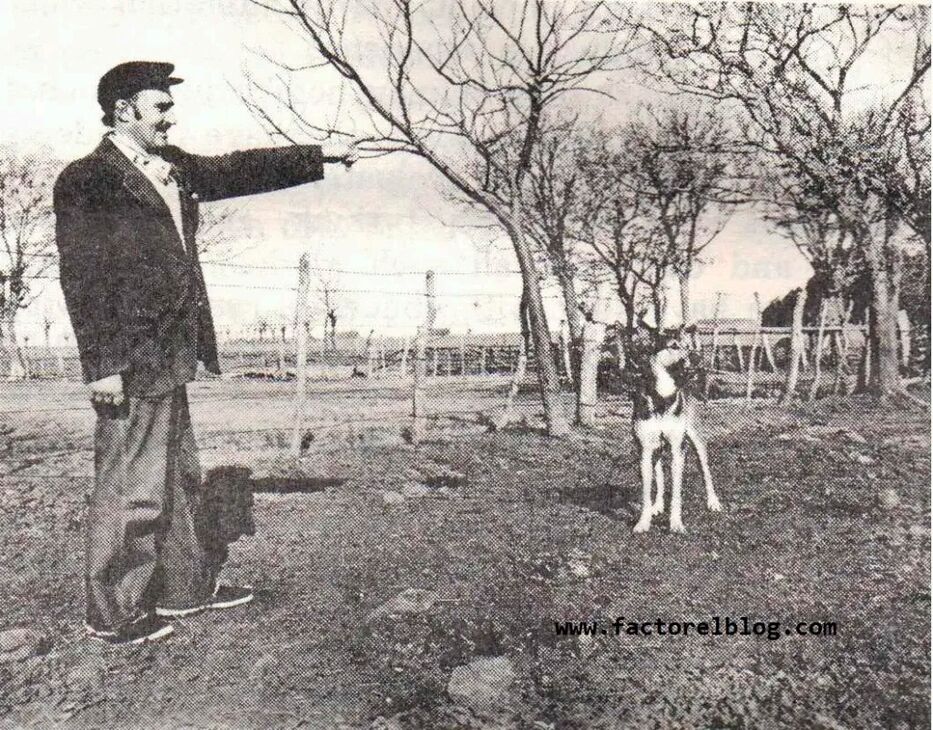 Ángel María Tonna. Foto del periodista argentino Alejandro Agostinelli.