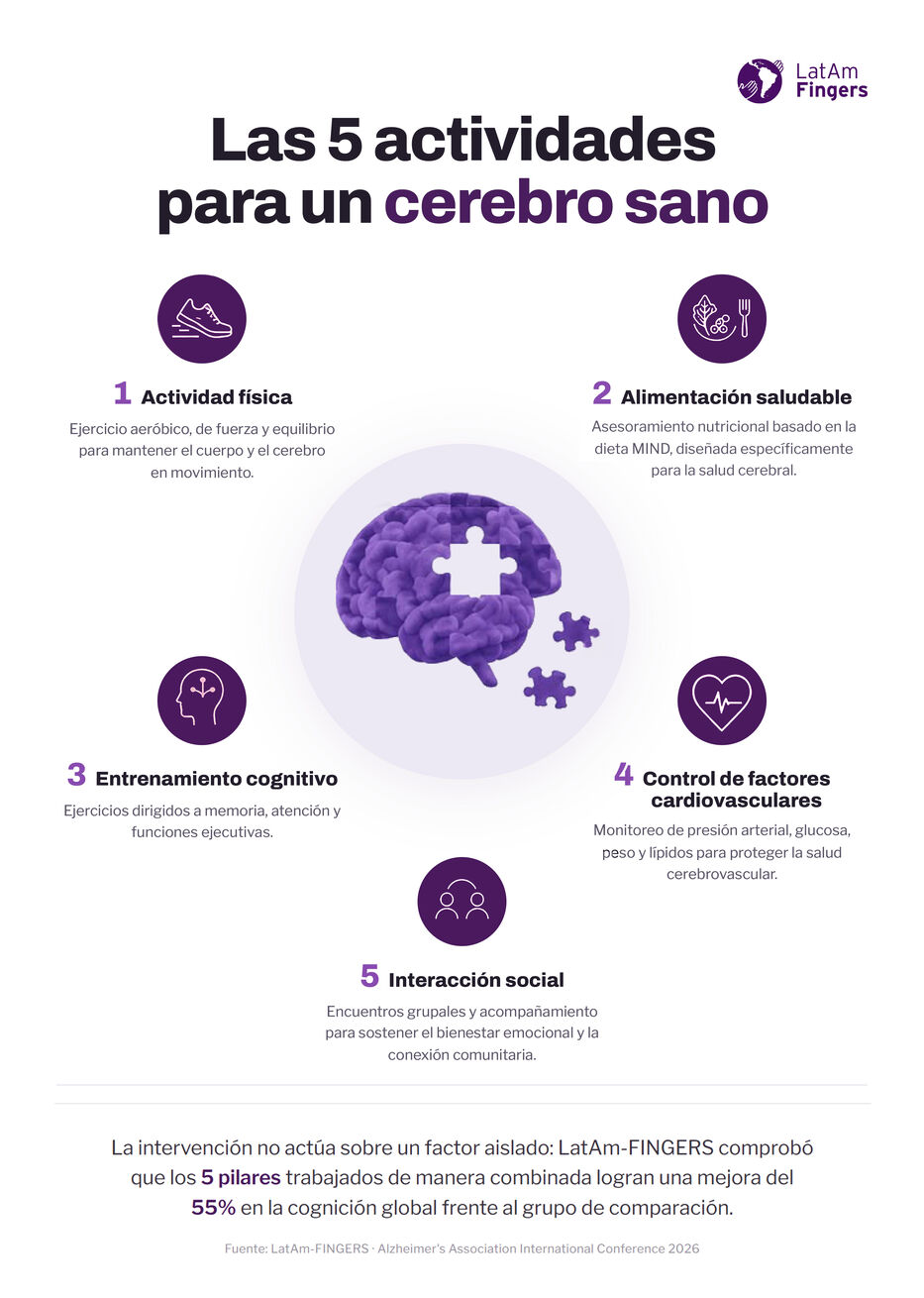 	Las 5 actividades para un cerebro san