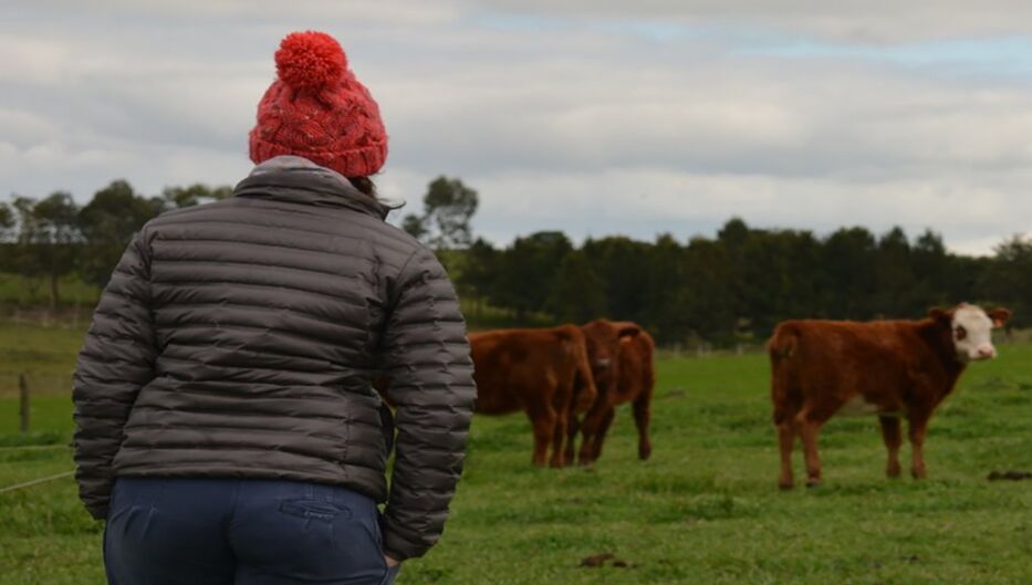 Financiarán 23 proyectos de mujeres rurales con alcance nacional: el detalle por rubro