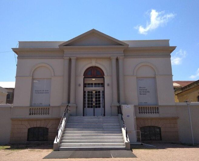 Museo de Historia Natural invita a descubrir los mamíferos que habitan Montevideo
