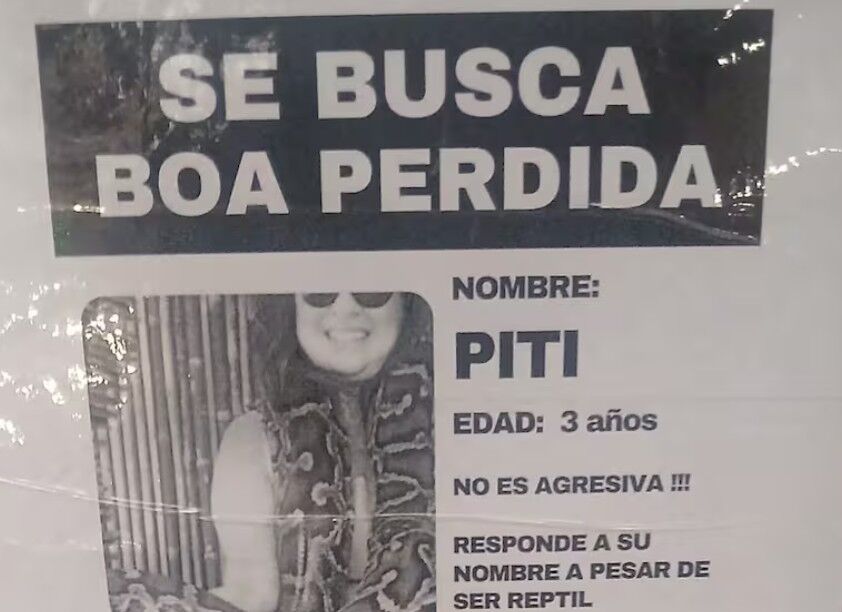 Un cuidador de perros quiso hacer clientes en un barrios, pero todo terminó en un delito