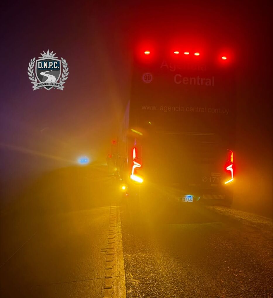 Terrible: quiso suicidarse en el baño del ómnibus, luego saltó hacia la ruta y murió