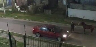 A caballo y con un arma: hombre rapiñó a una mujer en Malvín Norte; está identificado