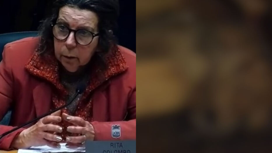 Vice de la junta de Maldonado respondió tras nuevos videos de maltrato animal en su finca