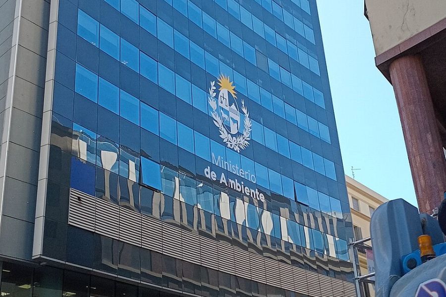 Ministerio de Ambiente abrió llamado con sueldo de $ 163.000: requisitos y cómo postularse
