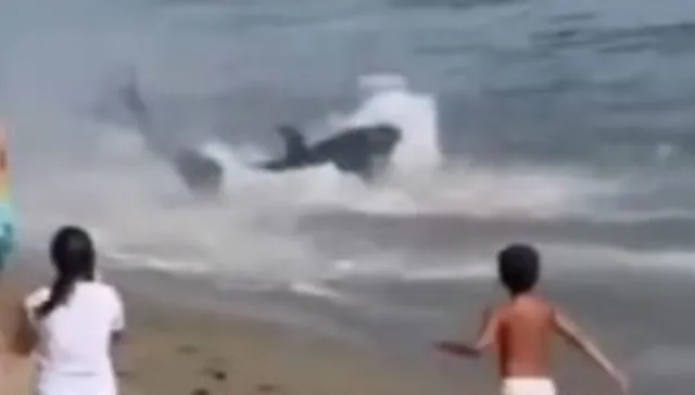 Invitado inesperado