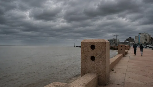 Gris es todo lo que hay