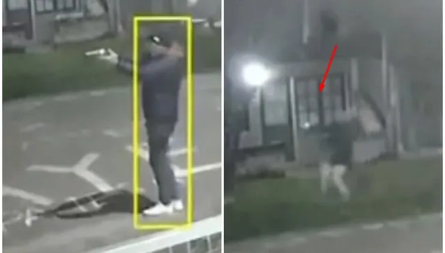 Disparos en la noche
