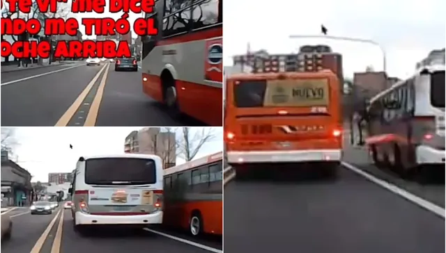 Carrera de buses