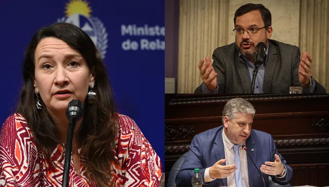 ¿Maestra particular?