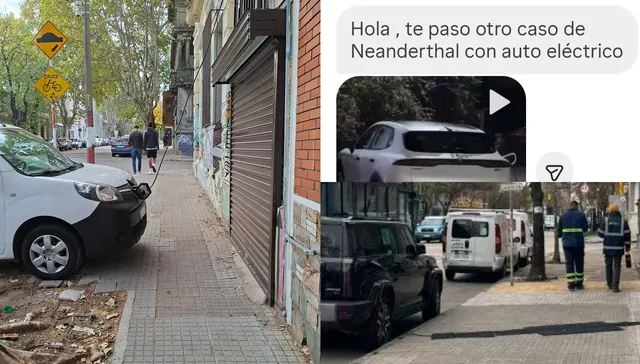 Shockeante