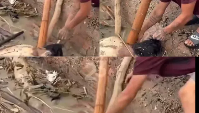 Un espanto