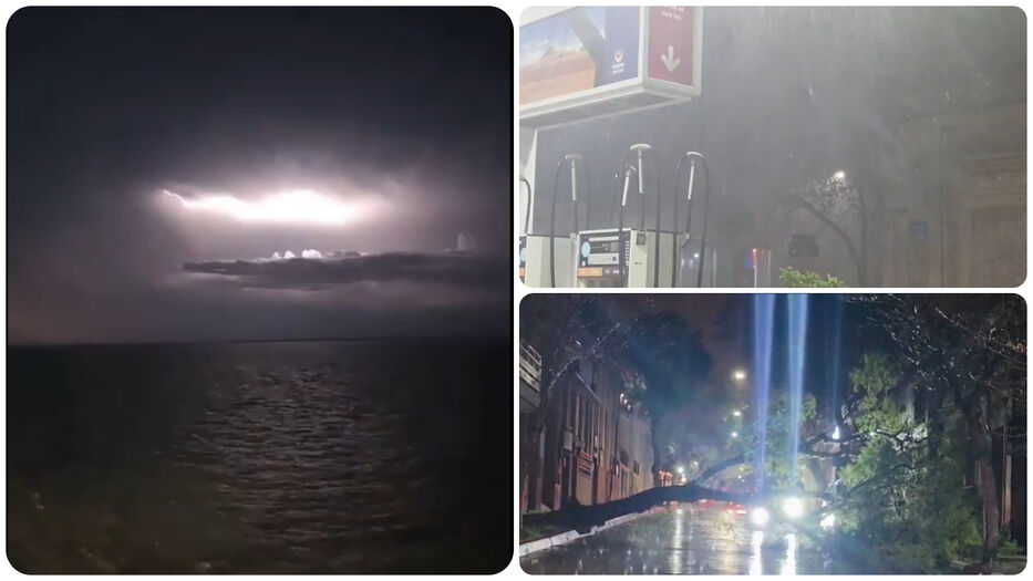 Temporal en Salto: rachas de hasta 102 km/h dejaron árboles caídos y voladura de techos