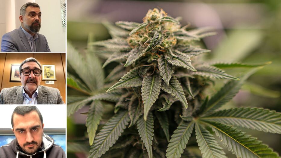 A más de una década del “experimento”: ¿cuál es el futuro del cannabis legal en Uruguay?
