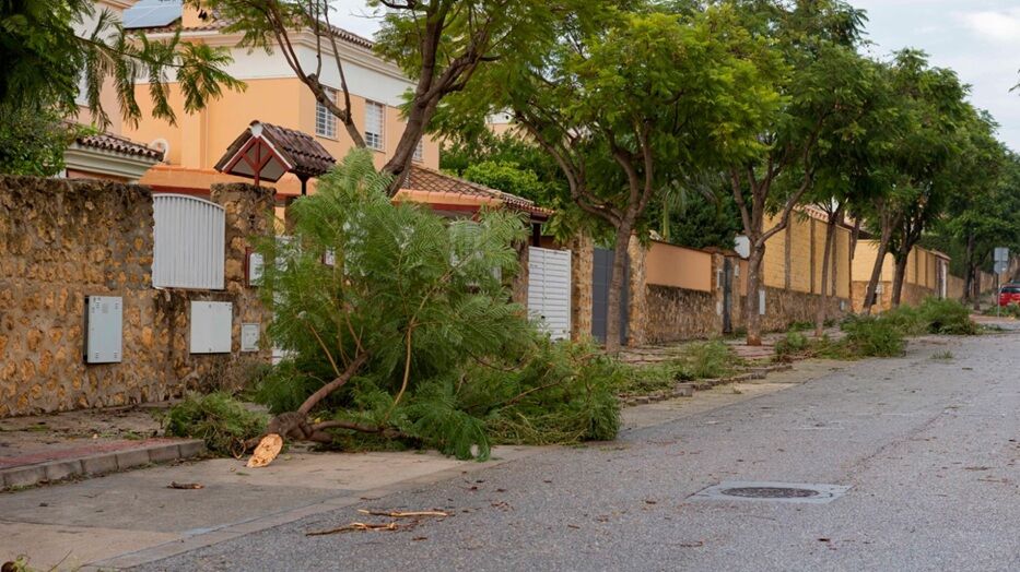 Crece la contratación de seguros de hogar ante aumento de eventos climáticos extremos