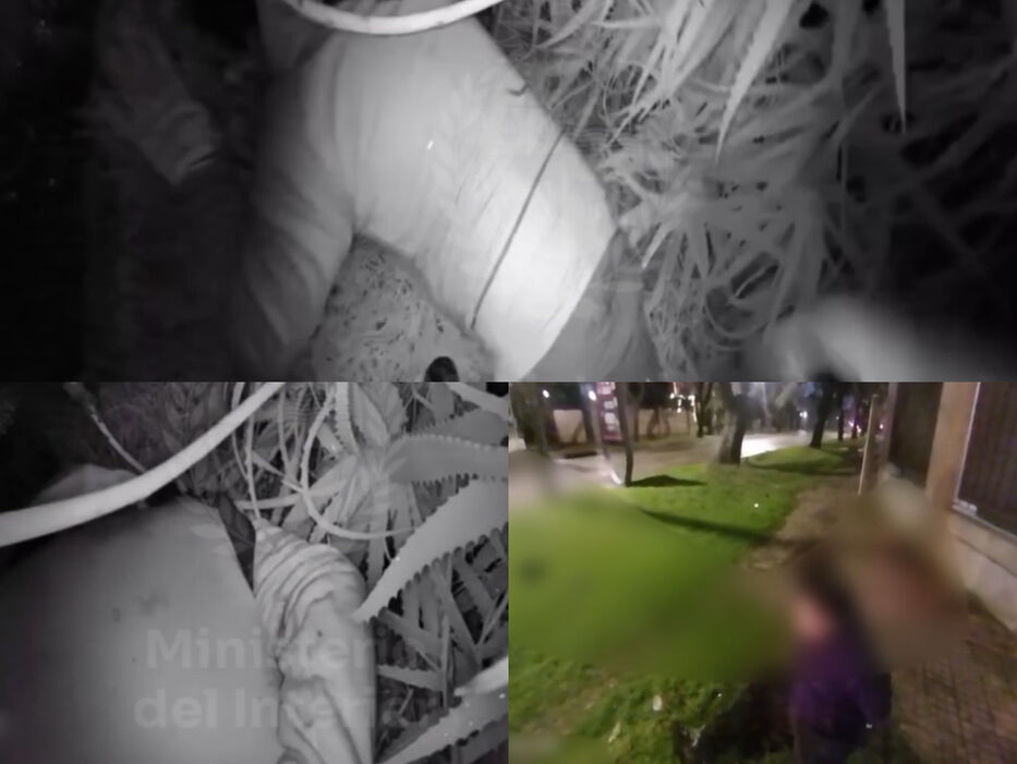 En el piso y con arma en mano: video de cómo detuvieron al cantante por explotar un cajero
