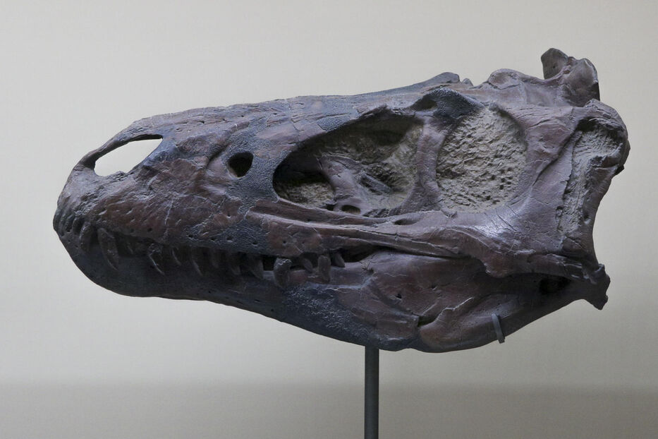 París viaja 140 millones de años atrás para mostrar los dinosaurios que habitaban el país