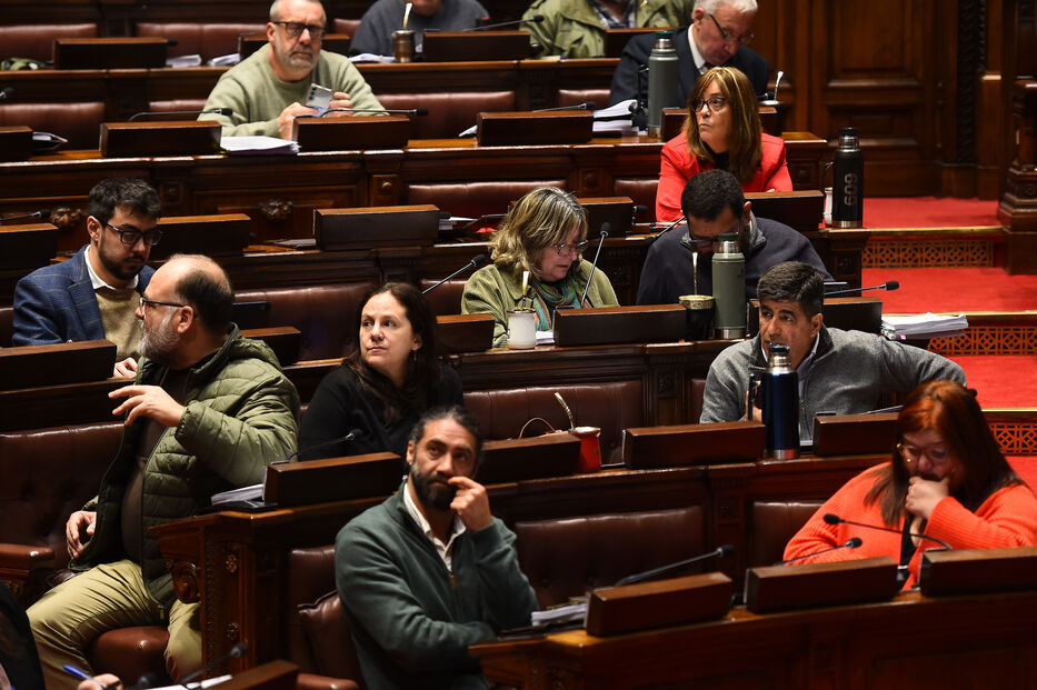 Con 99 votos negativos, Diputados rechazó el “artículo Fabiana Goyeneche” en la Rendición