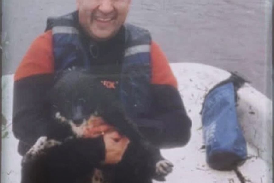 Bomberos se tiraron al agua para rescatar a un perro atrapado por la corriente en Durazno
