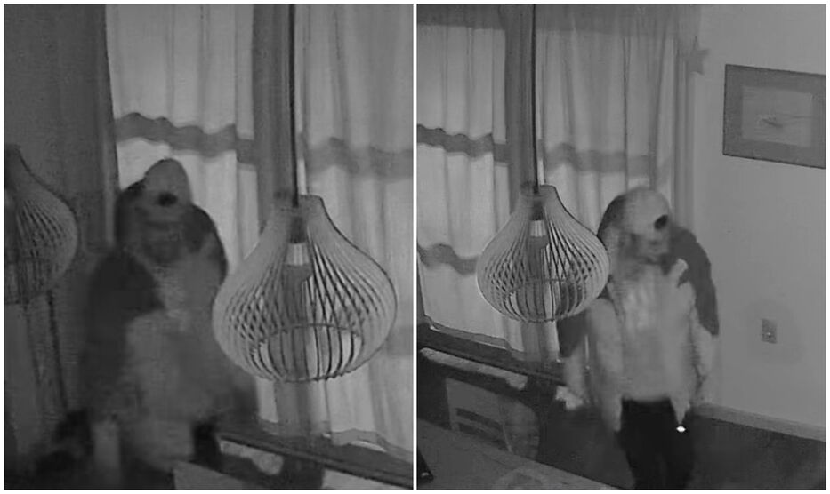 Ladrón pasó la noche en una casa mientras la familia dormía: no fue lo peor