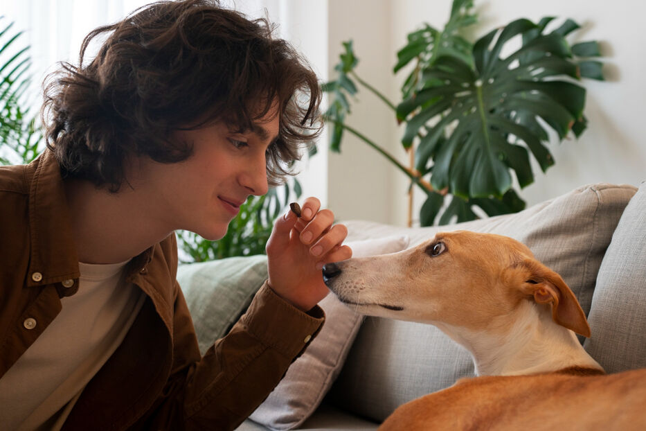 Qué pasa en tu cuerpo cuando tu perro te mira a los ojos