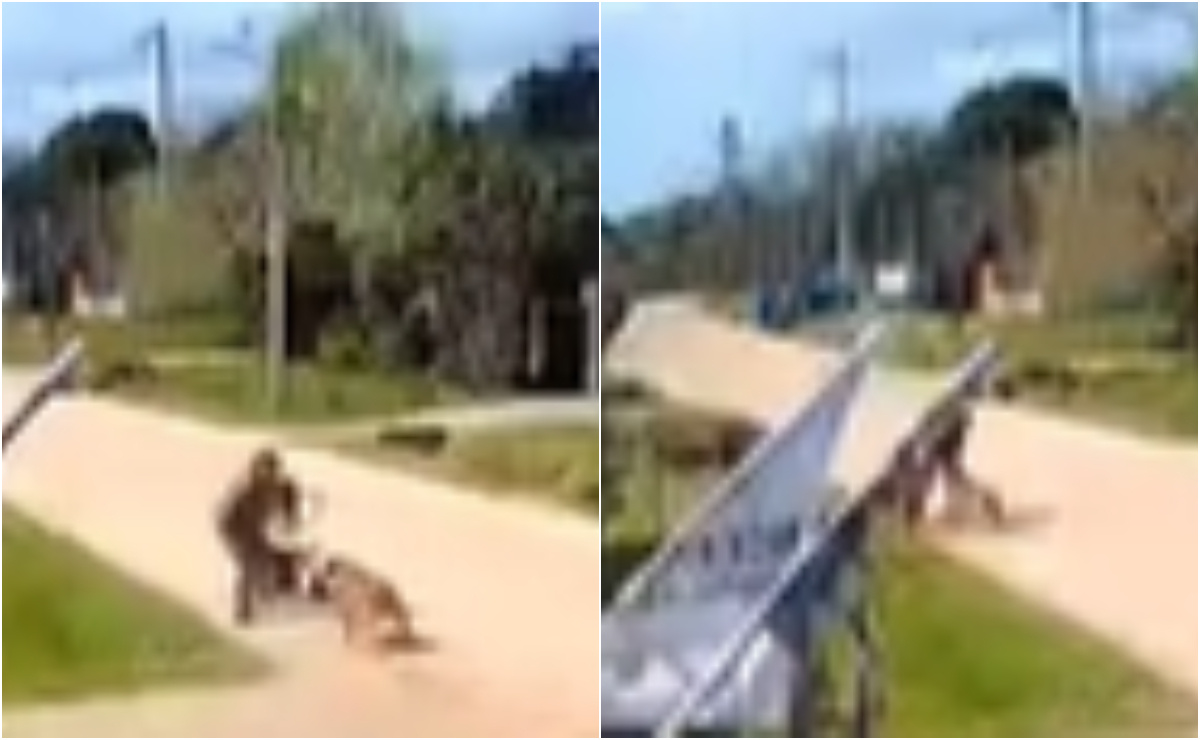 Brutal ataque de perros a madre quien iba con sus bebé de 19 meses y lo salvó de milagro