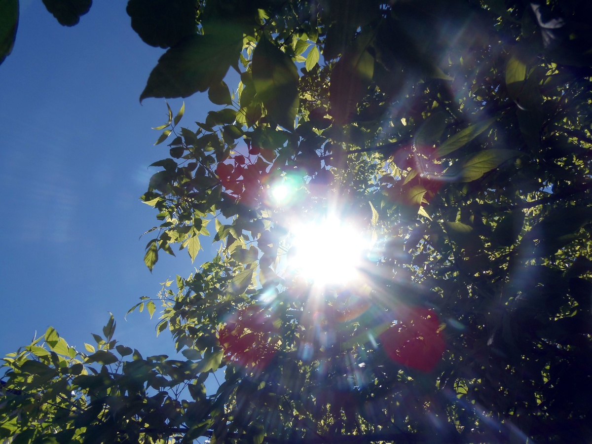 Veranillo activado: lo que queda de setiembre será ideal para los amantes del calorcito